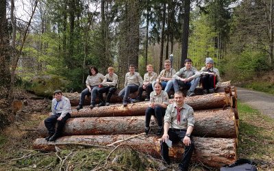Pfadfindergruppe sitzt für ein Gruppenfoto auf Baumstämmen